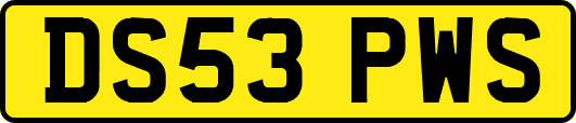 DS53PWS