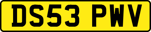 DS53PWV