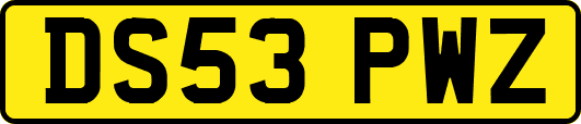 DS53PWZ