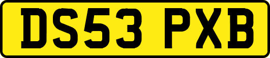 DS53PXB