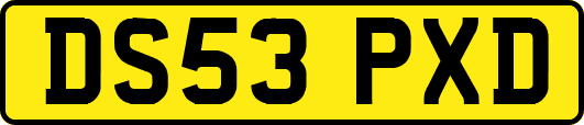 DS53PXD