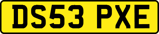 DS53PXE