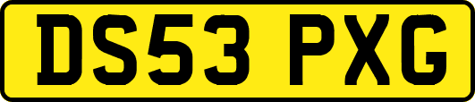 DS53PXG