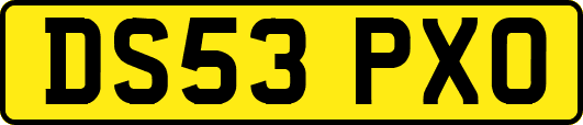 DS53PXO