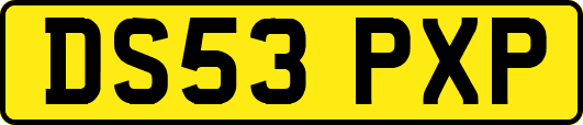 DS53PXP