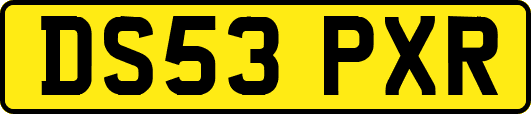 DS53PXR