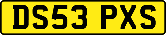 DS53PXS