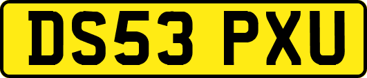 DS53PXU