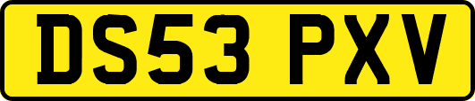DS53PXV
