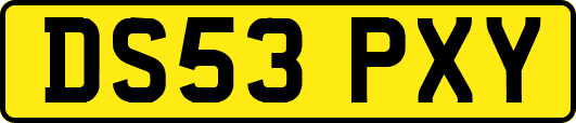 DS53PXY