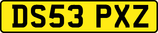 DS53PXZ
