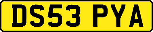 DS53PYA