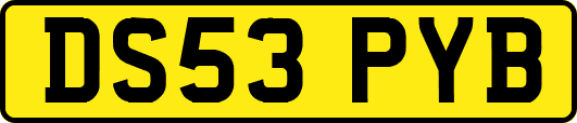 DS53PYB