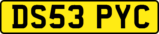 DS53PYC