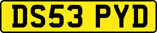 DS53PYD