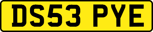 DS53PYE
