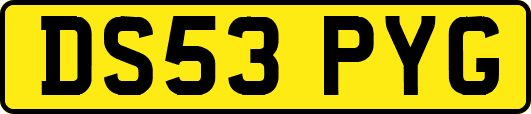 DS53PYG