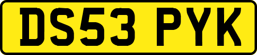 DS53PYK