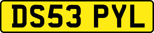 DS53PYL