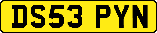 DS53PYN
