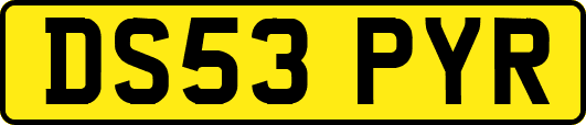 DS53PYR
