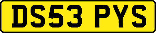 DS53PYS