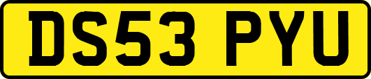 DS53PYU