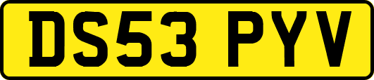 DS53PYV