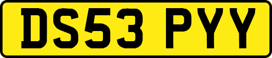 DS53PYY