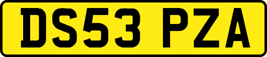 DS53PZA
