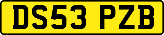 DS53PZB