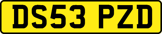 DS53PZD