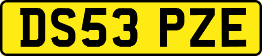 DS53PZE