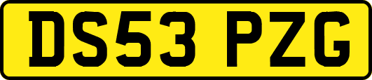 DS53PZG