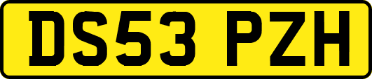 DS53PZH