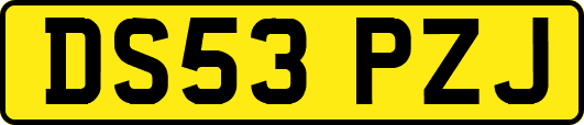 DS53PZJ