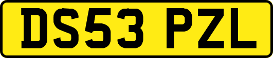 DS53PZL