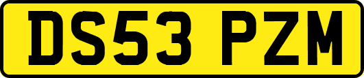 DS53PZM