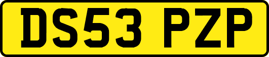 DS53PZP