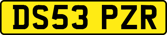 DS53PZR