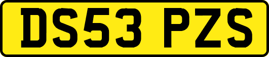 DS53PZS