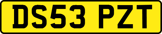 DS53PZT