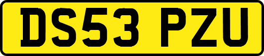 DS53PZU