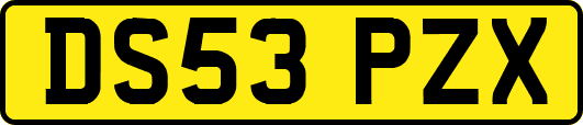 DS53PZX
