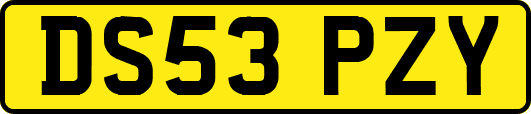 DS53PZY