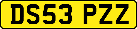 DS53PZZ