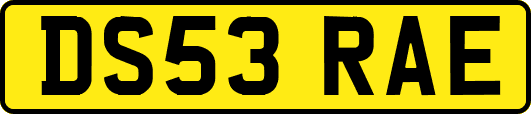 DS53RAE
