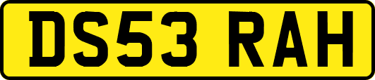 DS53RAH