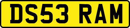DS53RAM