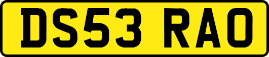 DS53RAO